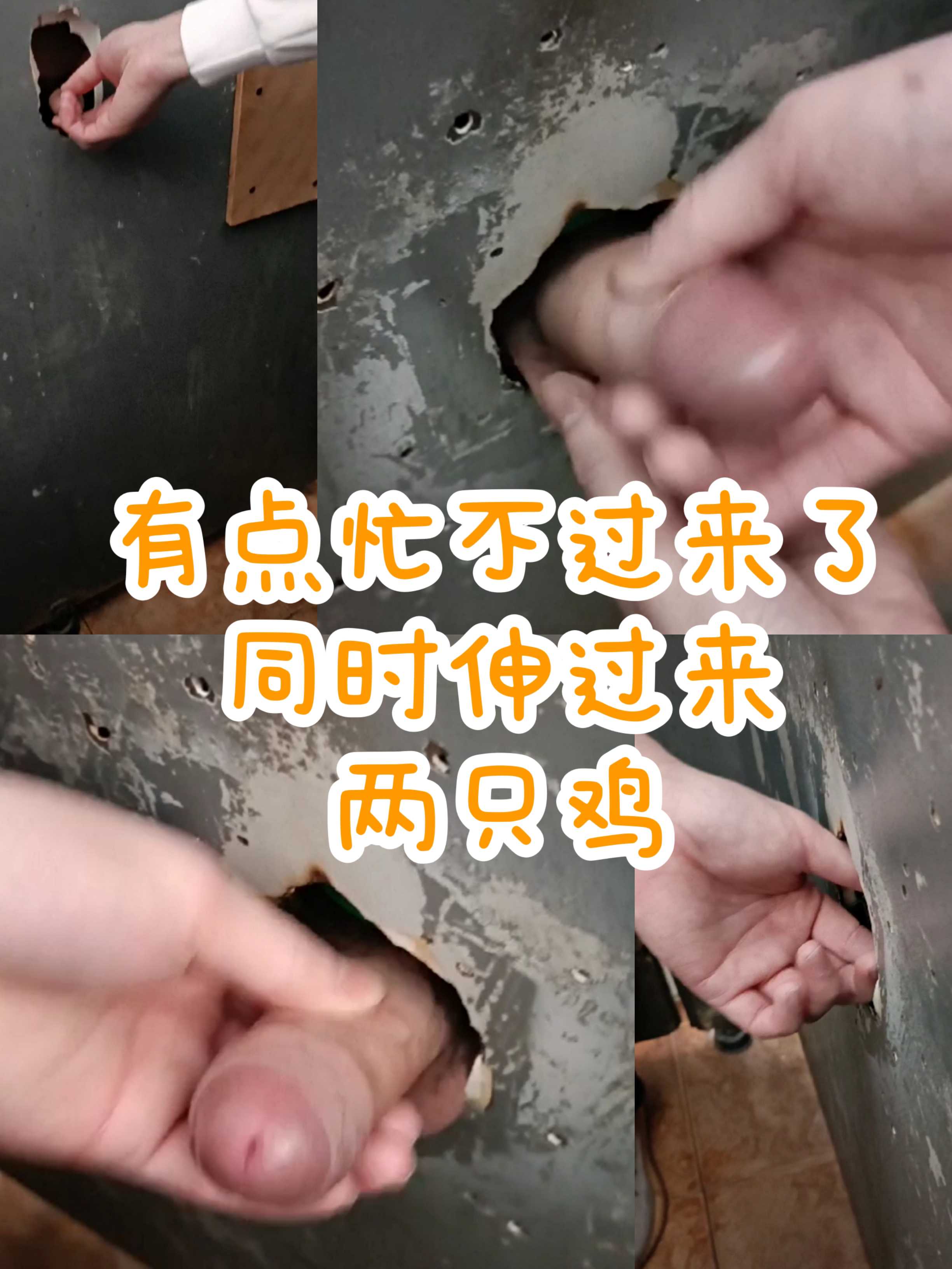 已經忙不過來了，同時伸過來兩隻雞