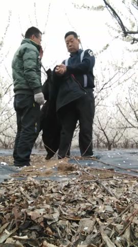 勾引老頭在樹林裡野戰